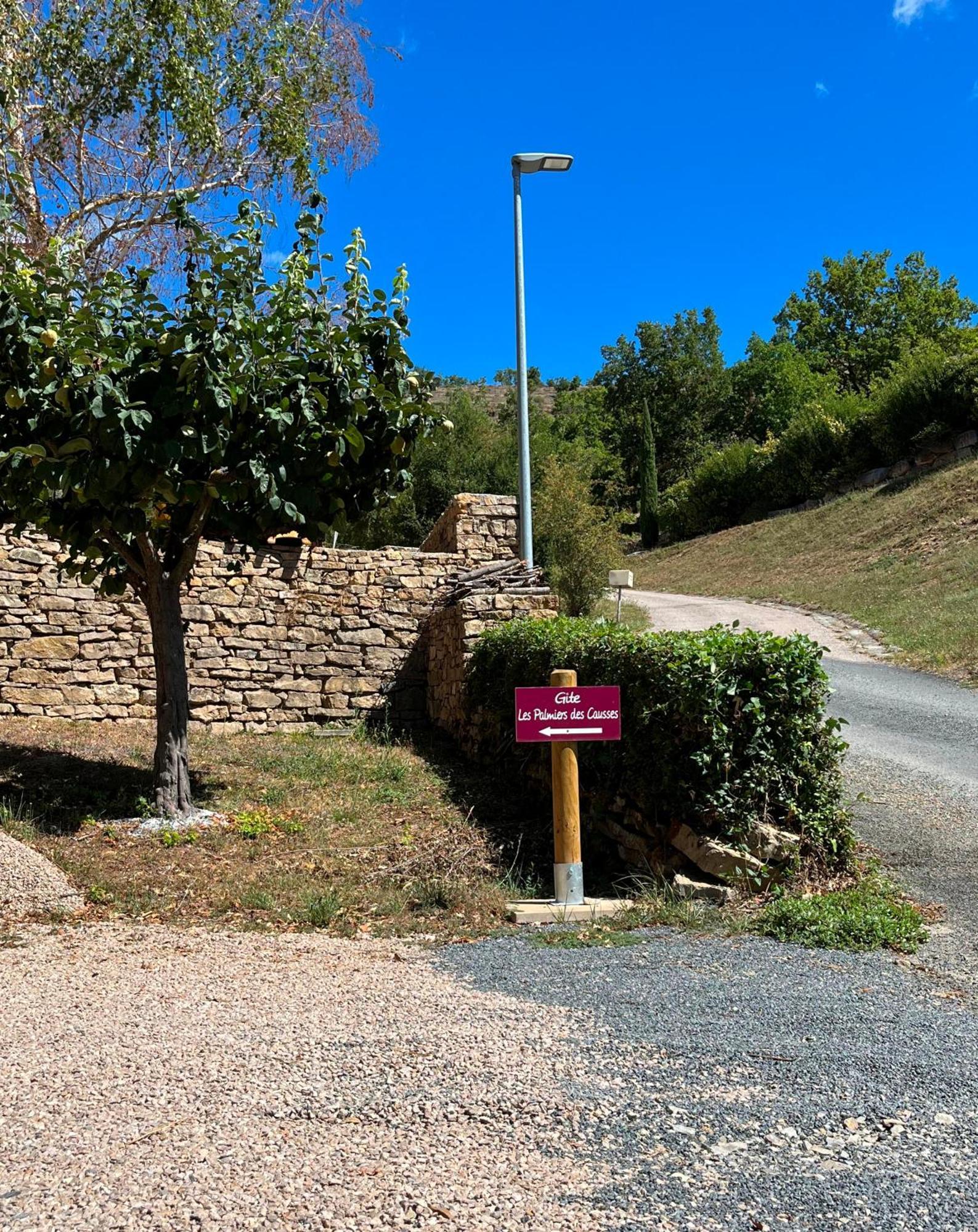 Les Palmiers Des Causses Villa Saint-Rome-de-Tarn Exteriör bild